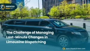 Premium Limousine Services for Weddings and Special Occasions